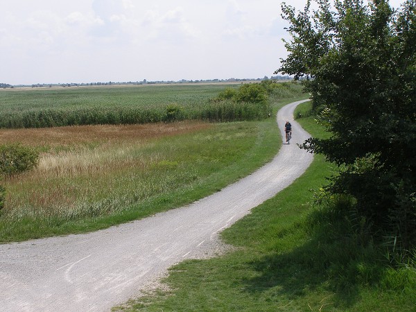 img00004.jpg