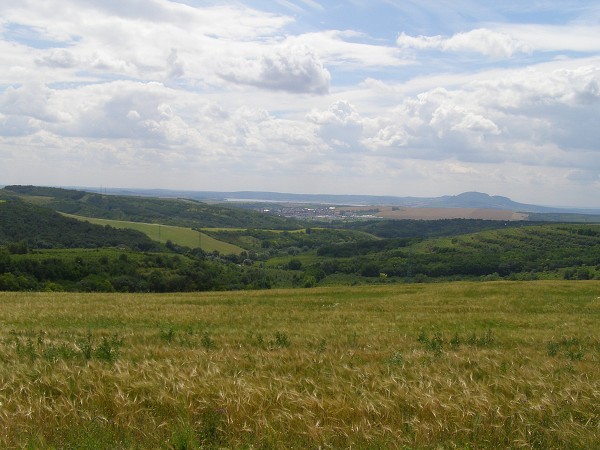 img00008.jpg