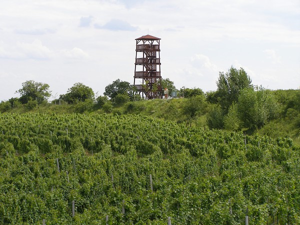 img00025.jpg