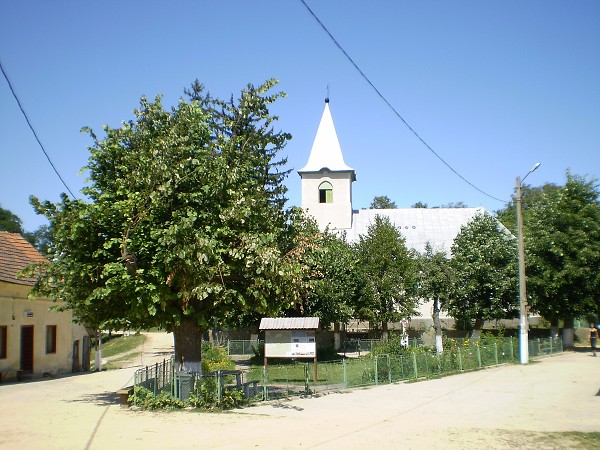img00002.jpg