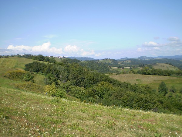 img00005.jpg