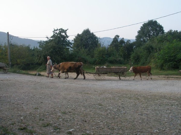 img00021.jpg