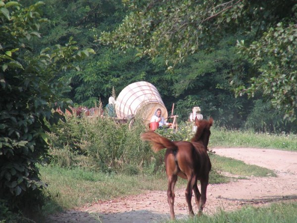 img00026.jpg
