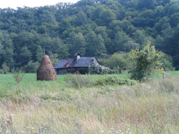 img00035.jpg
