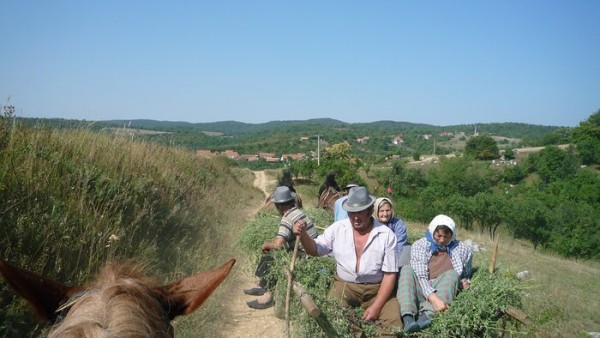 img00048.jpg
