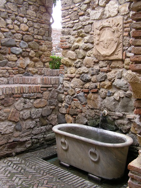 img00010.jpg