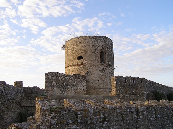 img00050.jpg