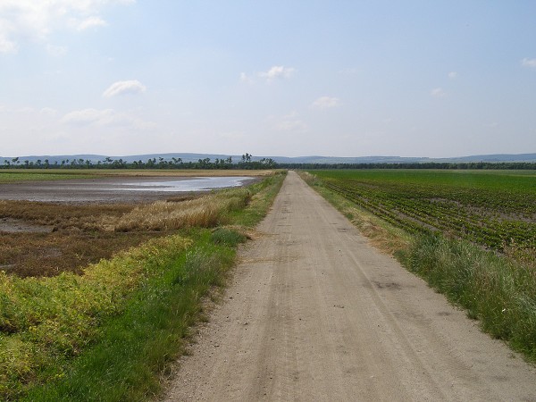 img00001.jpg