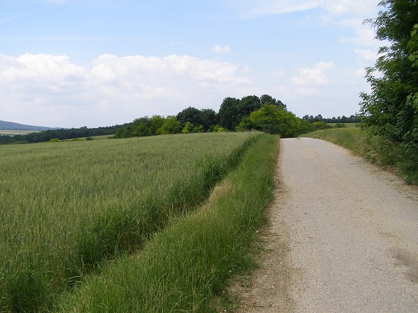 img00003.jpg