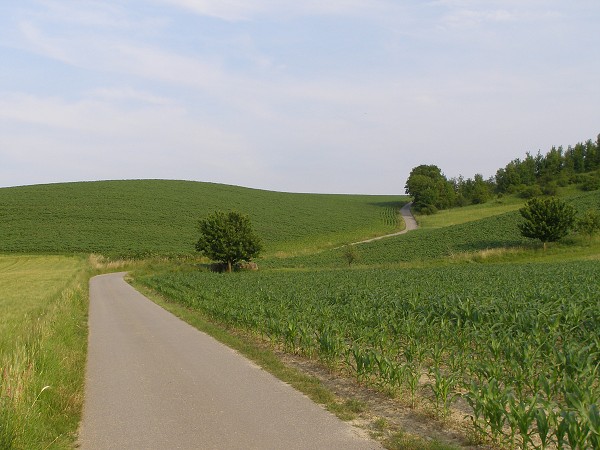 img00019.jpg