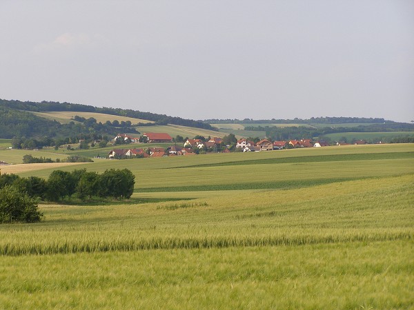 img00020.jpg