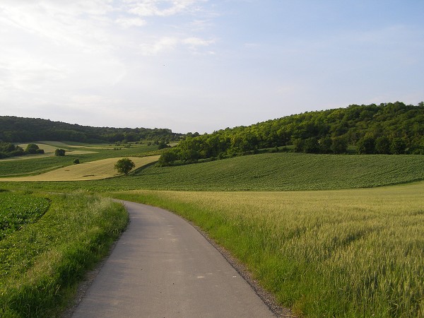 img00021.jpg