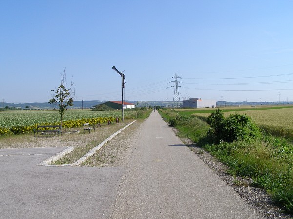img00029.jpg