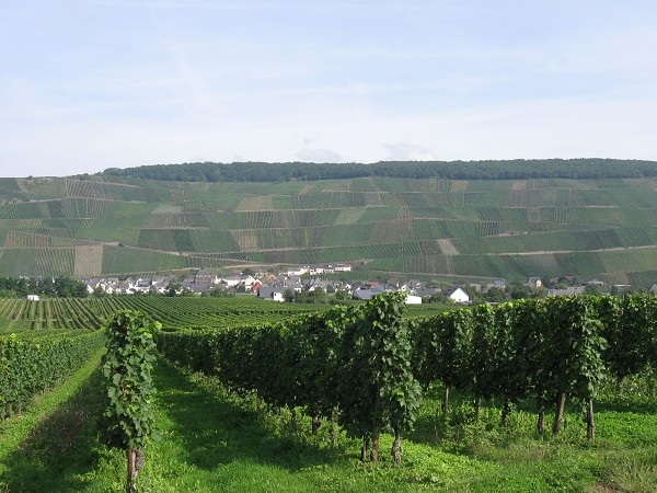 img00006.jpg