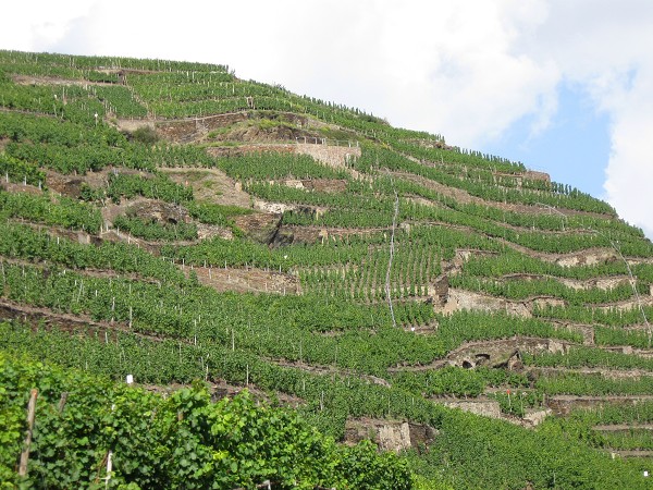 img00027.jpg