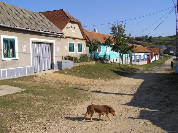 img00010.jpg