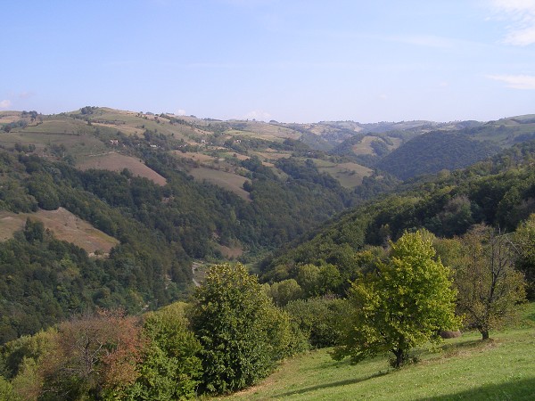 img00013.jpg