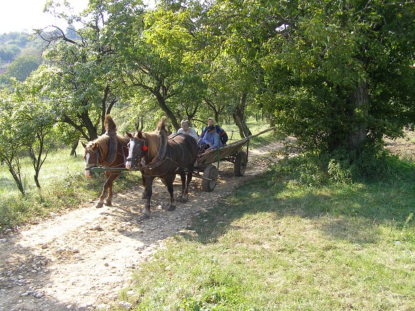 img00028.jpg