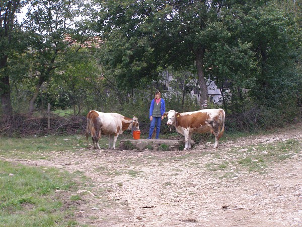 img00036.jpg