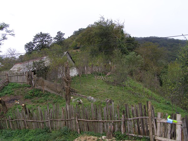 img00042.jpg