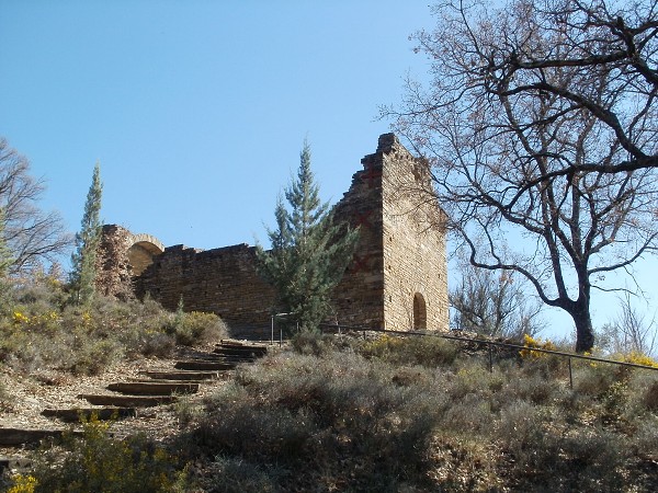 img00019
