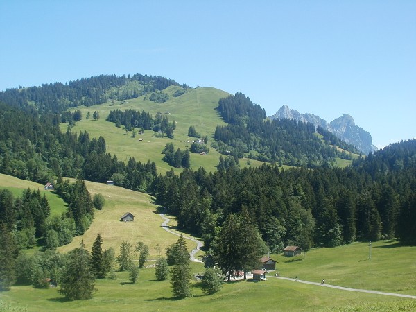 img00036