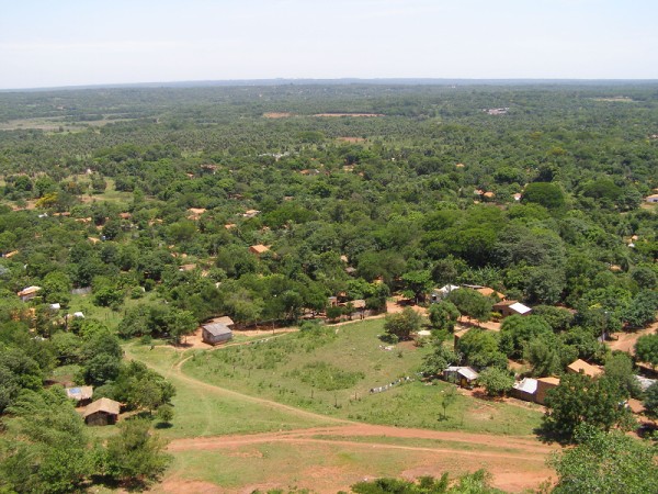 img00061