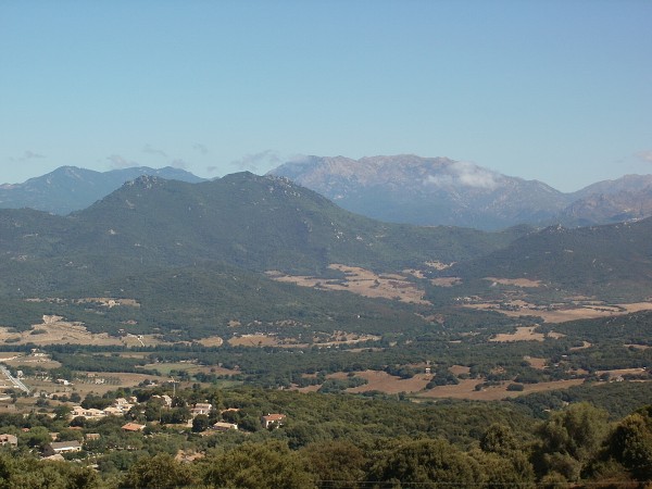 img00005