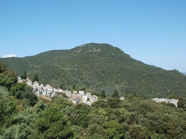 img00006