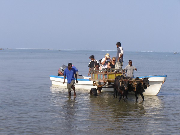 img00039