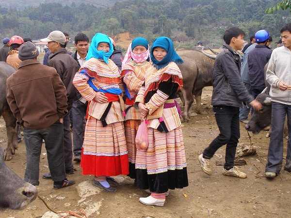 img00040