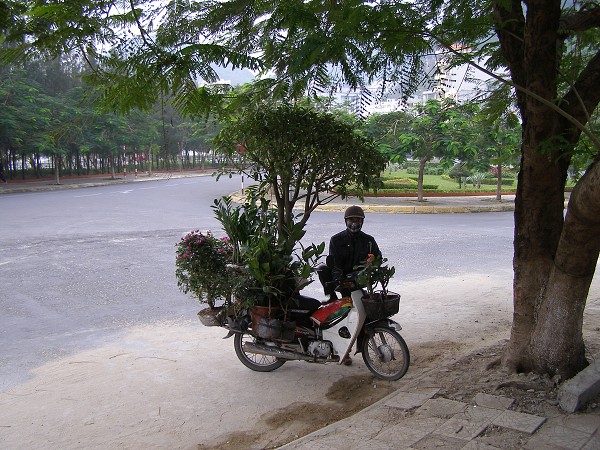 img00052