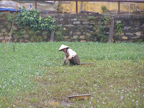 img00089