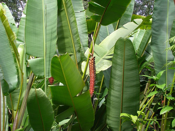 img00028