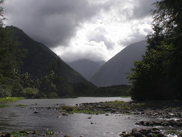 img00034