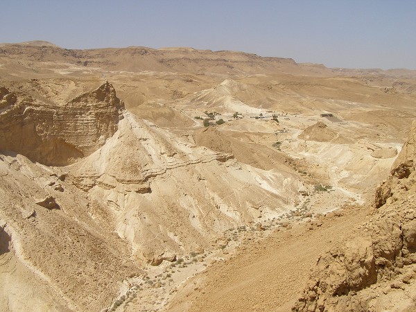 img00007
