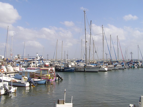 img00018