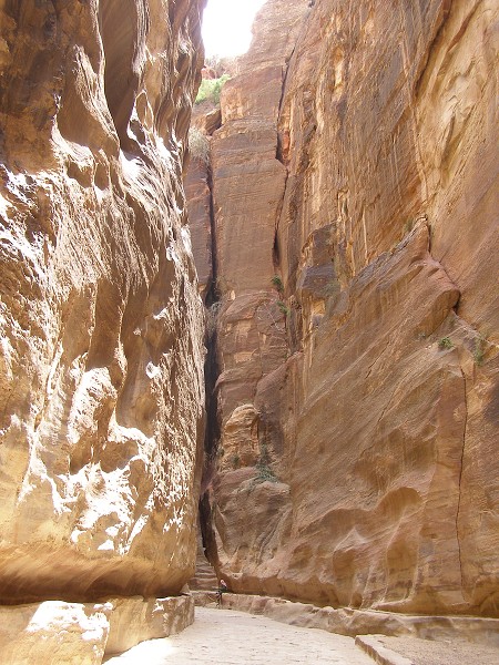 img00050