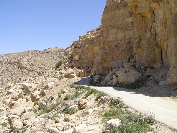 img00082