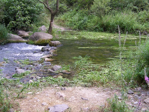 img00028