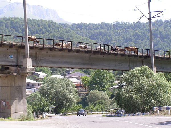 img00062