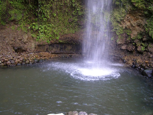 img00015