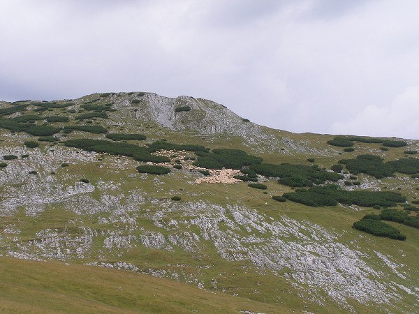 img00009