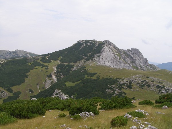 img00010