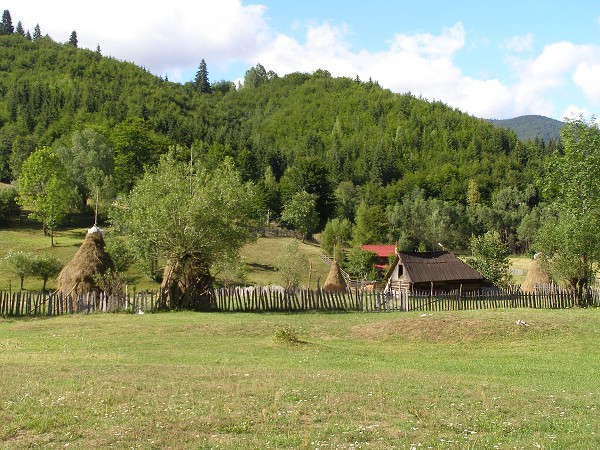 img00027