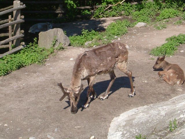 img00005.jpg