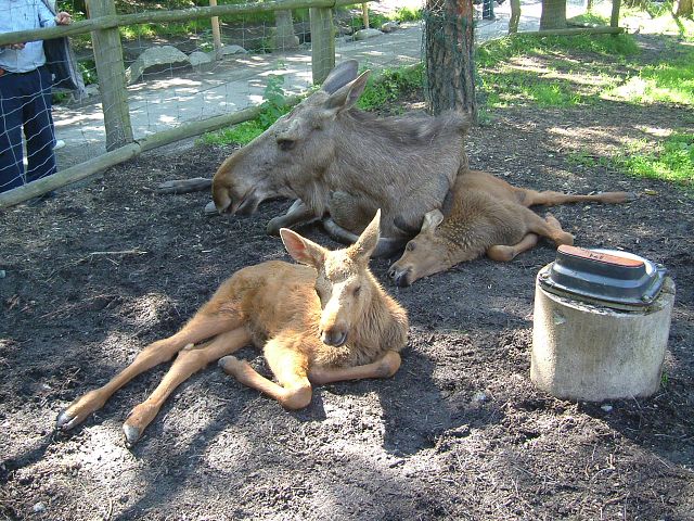 img00007.jpg