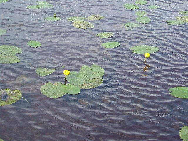 img00013.jpg