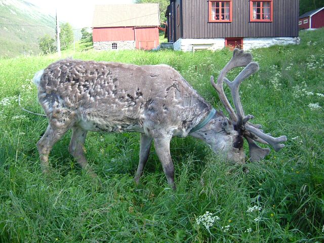 img00027.jpg