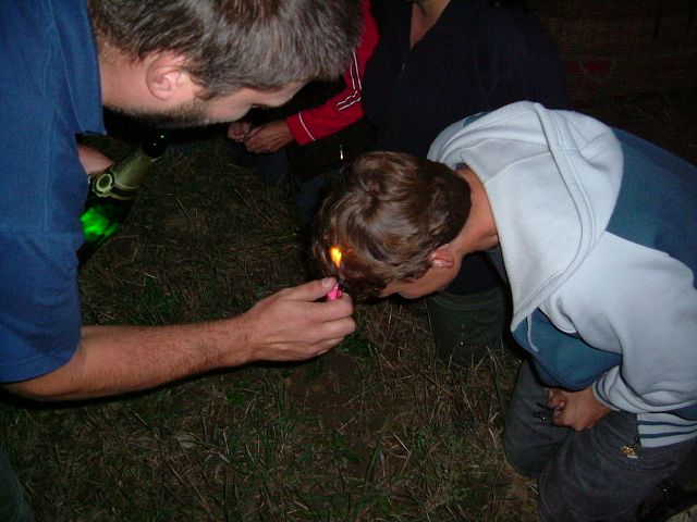 img00027.jpg
